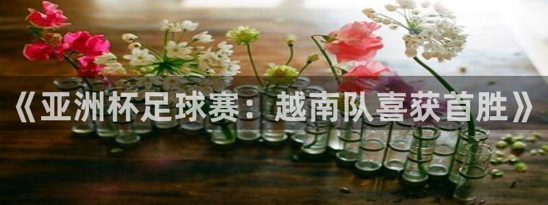 9255tv直播无插件nba：《亚洲杯足球赛：越南队喜获首胜》