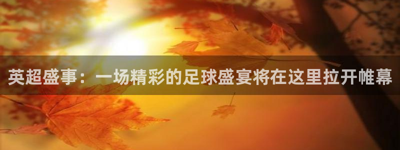 9255tv直播nba在线直播：英超盛事：一场精彩的足球盛宴将在这里拉开帷幕