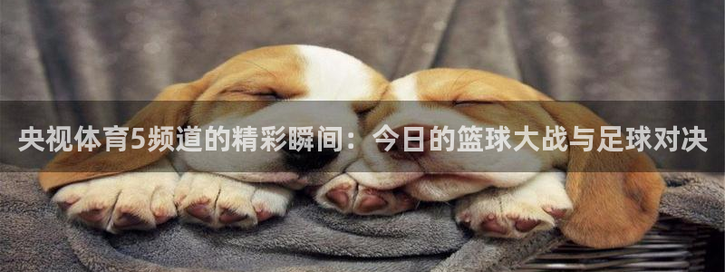 9255tv直播nba在线观看：央视体育5频道的精彩瞬间：今日的篮球大战与足球对决