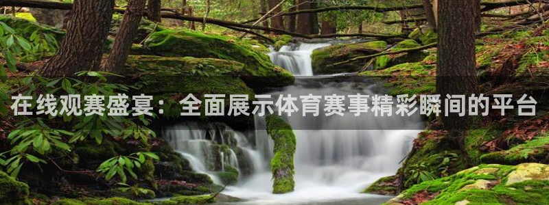 9255tv直播nba在线观看：在线观赛盛宴：全面展示体育赛事精彩瞬间的平台
