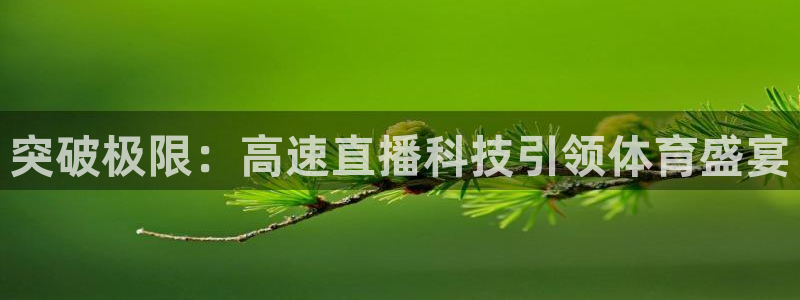 9255tv直播nba在线观看：突破极限：高速直播科技引领体育盛宴