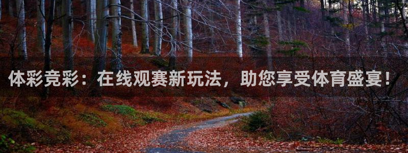 9255tv直播无插件nba：体彩竞彩：在线观赛新玩法，助您享受体育盛宴！