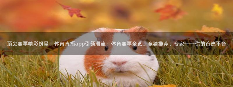 9255tv直播无插件nba：顶尖赛事精彩纷呈，体育直播app引领潮流：体育赛事全览、竞猜推荐、专家——你的首选平台