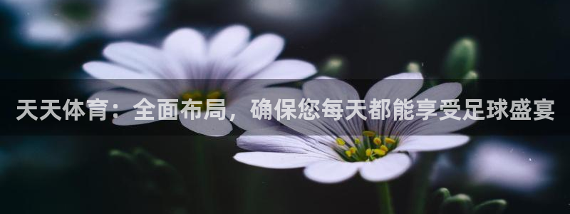 9255tv直播无插件nba：天天体育：全面布局，确保您每天都能享受足球盛宴