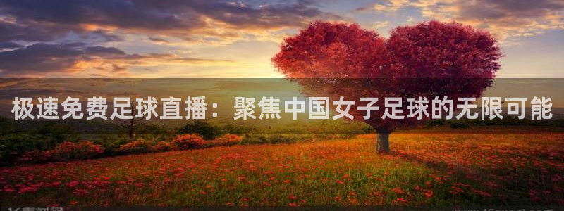 9255tv直播nba在线观看：极速免费足球直播：聚焦中国女子足球的无限可能
