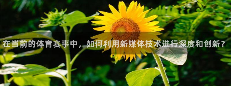 9255tv直播nba在线直播：在当前的体育赛事中，如何利用新媒体技术进行深度和创新？