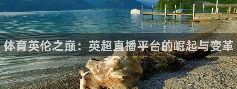 9255tv直播nba在线直播：体育英伦之巅：英超直播平台的崛起与变革
