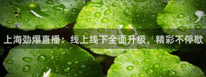 9255tv直播无插件nba：上海劲爆直播：线上线下全面升级，精彩不停歇