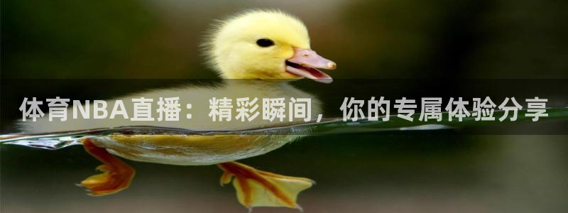 9255tv直播无插件nba：体育NBA直播：精彩瞬间，你的专属体验分享
